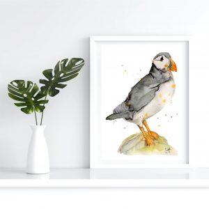 Framed watercolour art print of a puffin standing on a rock