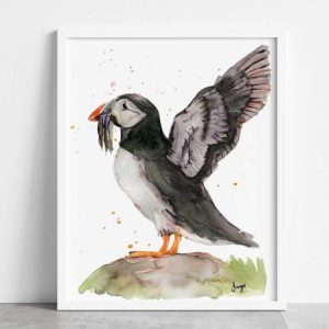 Puffin with wings outstreched A4 Art Print