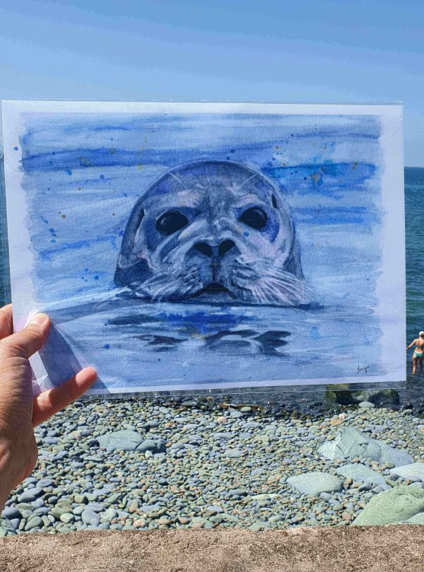 Curious Seal Watercolour Art Print